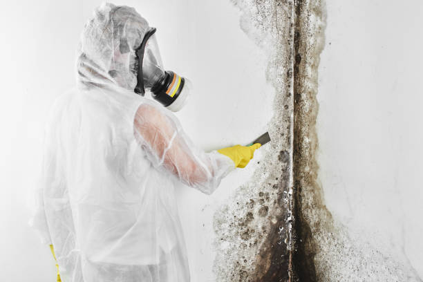Best Bathroom Mold Remediation in Strathmore, CA