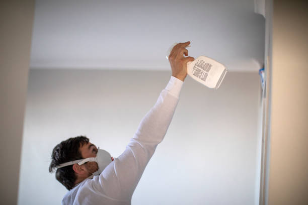 Best Industrial Mold Remediation in Strathmore, CA