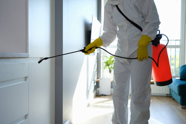 Best Mold Remediation for Schools in Strathmore, CA