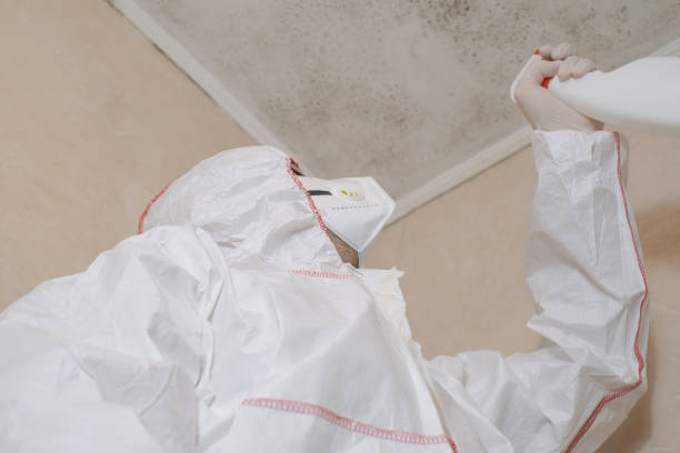 Best Post-Flood Mold Remediation in Strathmore, CA